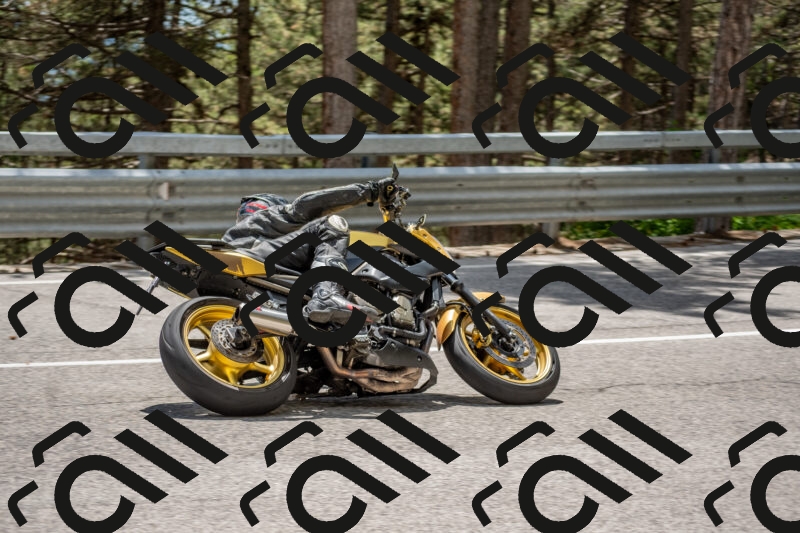 202506011358-DSC_6119_c4_