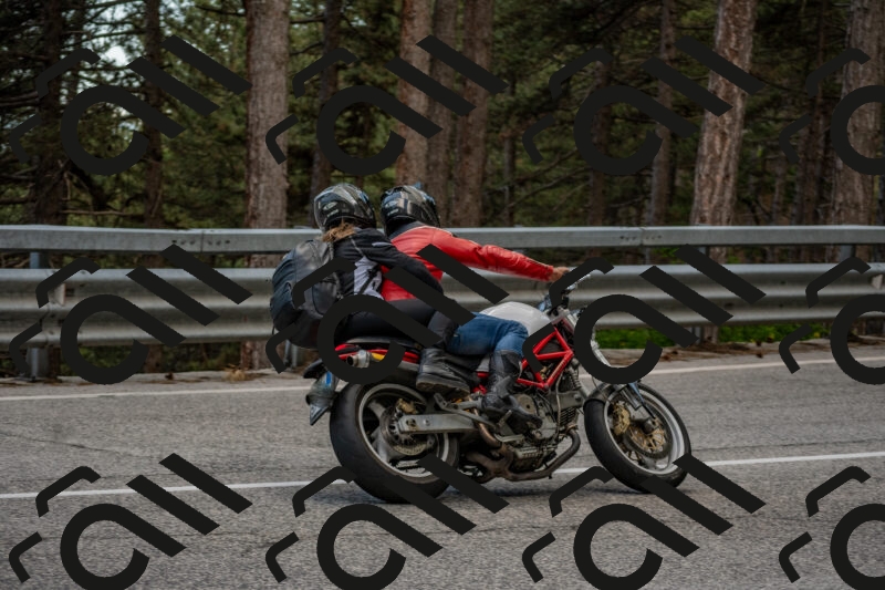 202506011400-DSC_6128_c4_