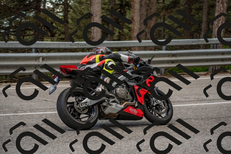 202506011403-DSC_6132_c4_