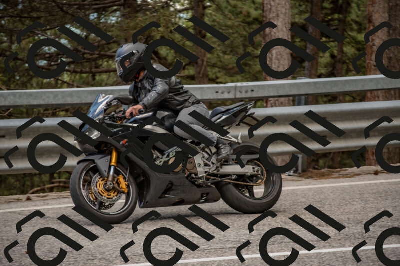 202506011406-DSC_6146_c4_