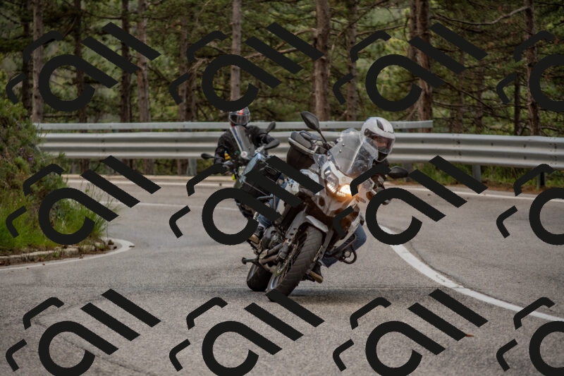 202506011408-DSC_6155_c4_