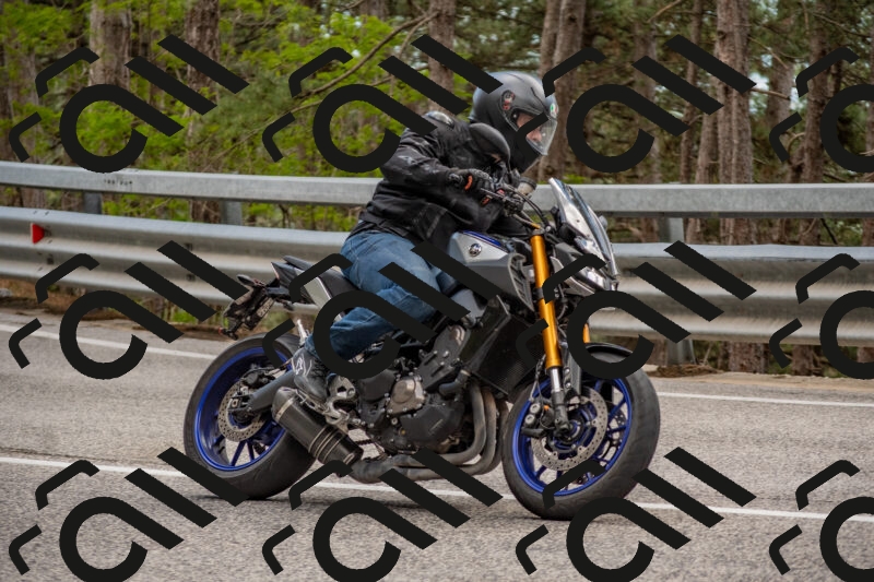 202506011408-DSC_6165_c4_