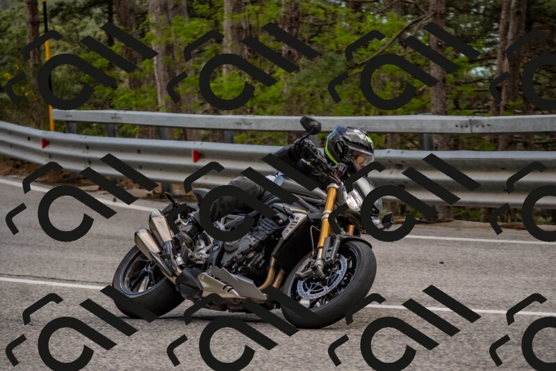 202506011409-DSC_6176_c4_