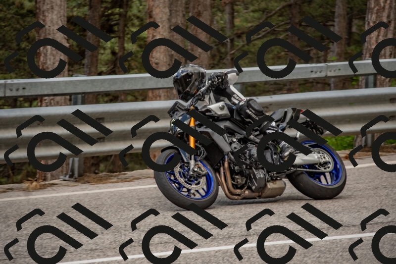 202506011409-DSC_6180_c4_