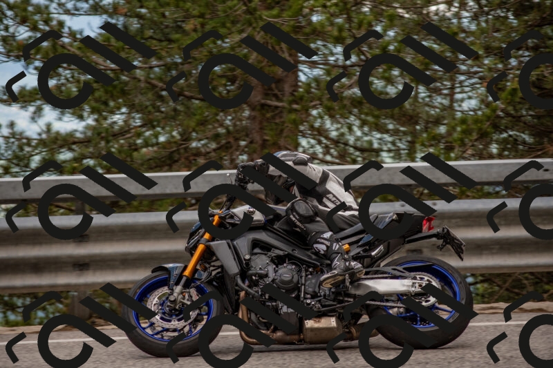 202506011409-DSC_6181_c4_