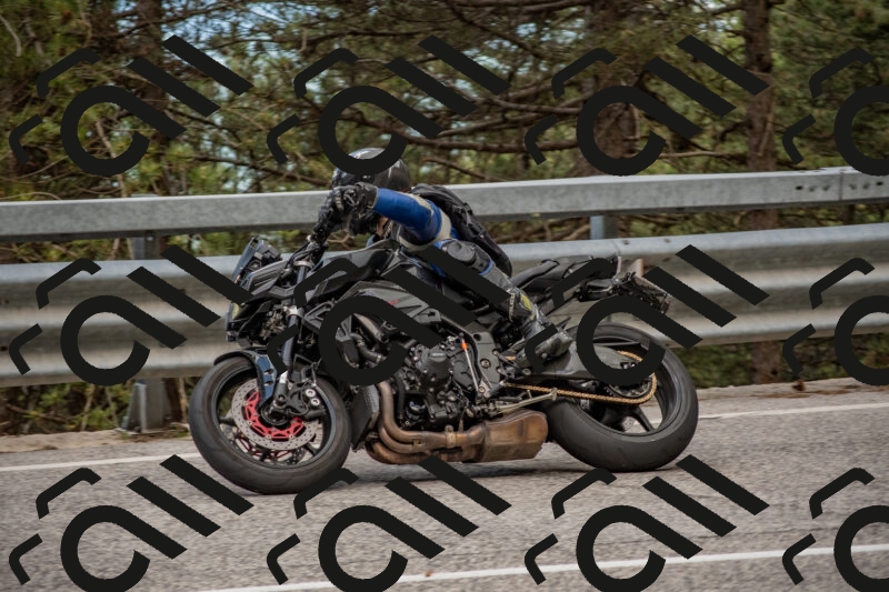 202506011409-DSC_6183_c4_