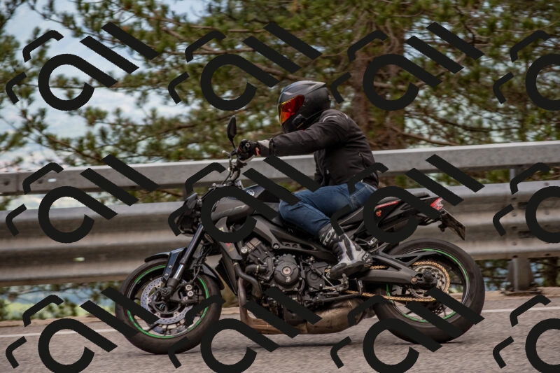 202506011409-DSC_6192_c4_