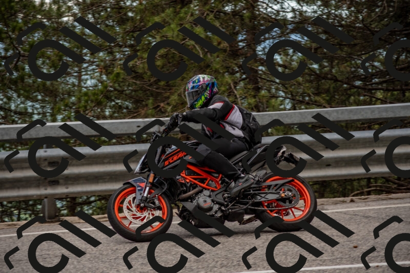 202506011413-DSC_6216_c4_