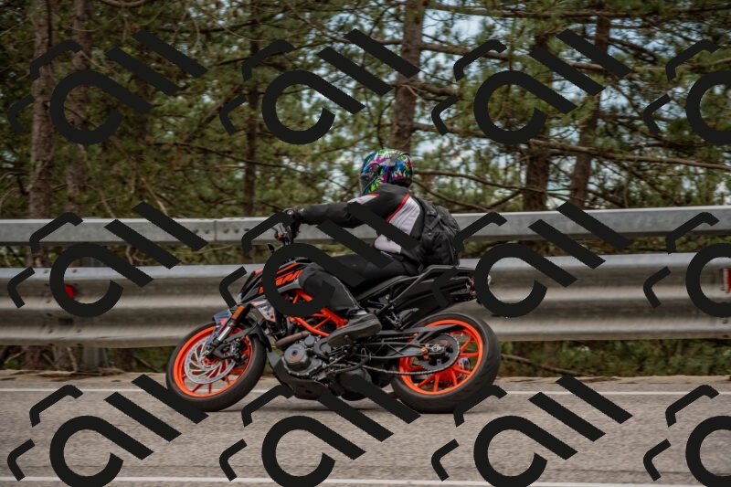 202506011413-DSC_6217_c4_