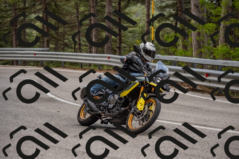 202506011414-DSC_6219_c4_