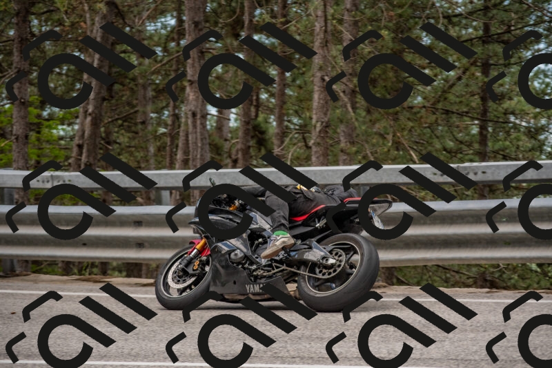 202506011415-DSC_6231_c4_