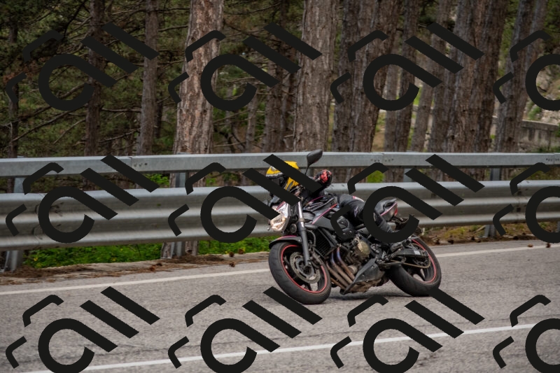 202506011415-DSC_6233_c4_