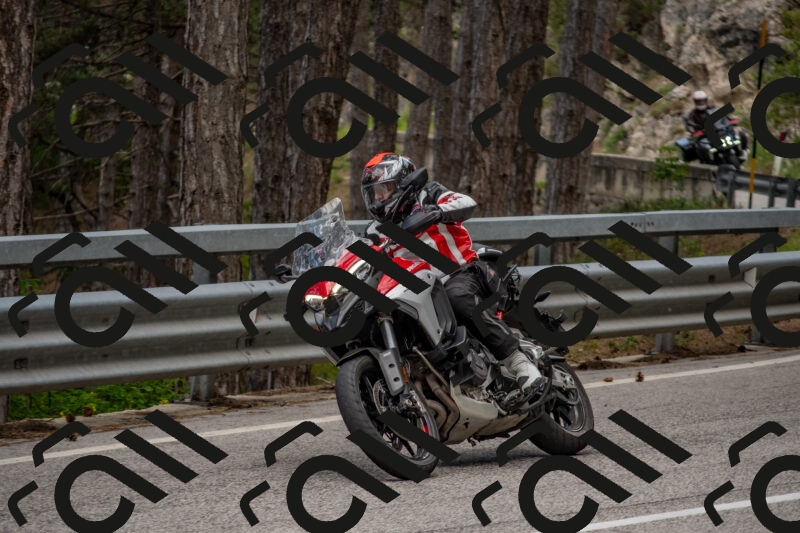 202506011416-DSC_6238_c4_