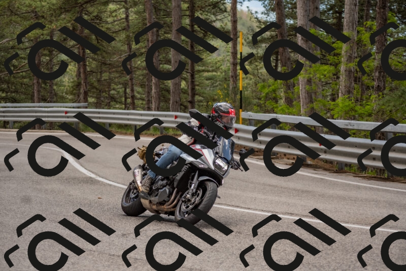 202506011416-DSC_6251_c4_