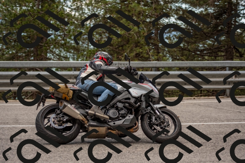 202506011416-DSC_6253_c4_