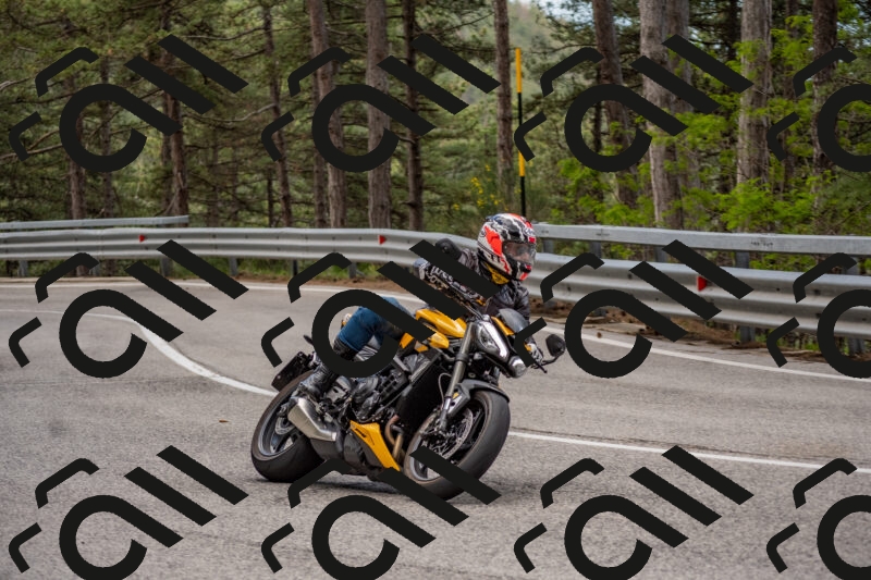 202506011416-DSC_6255_c4_