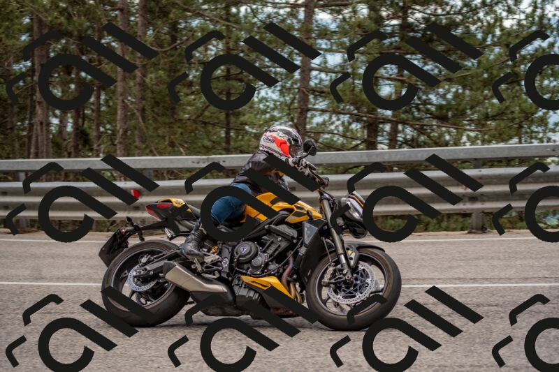 202506011416-DSC_6256_c4_