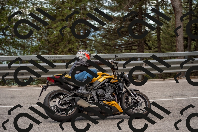 202506011416-DSC_6257_c4_