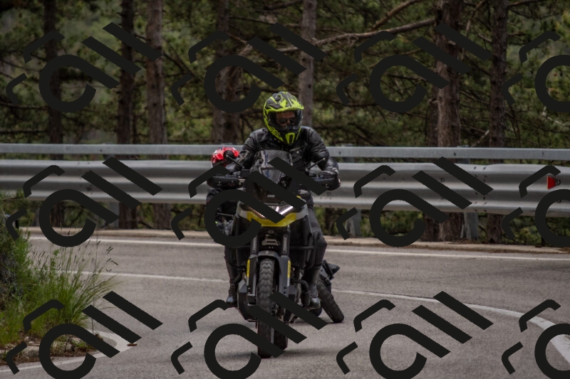 202506011416-DSC_6262_c4_