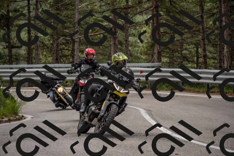 202506011416-DSC_6263_c4_