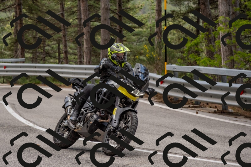 202506011417-DSC_6264_c4_