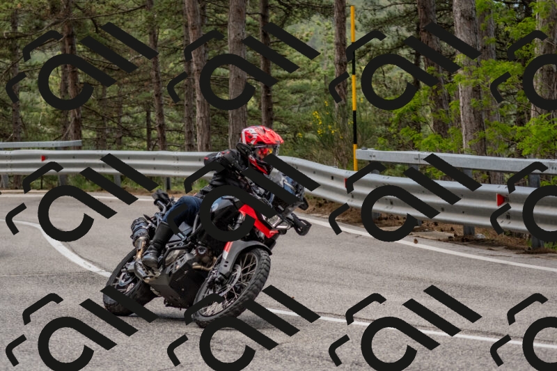 202506011417-DSC_6265_c4_