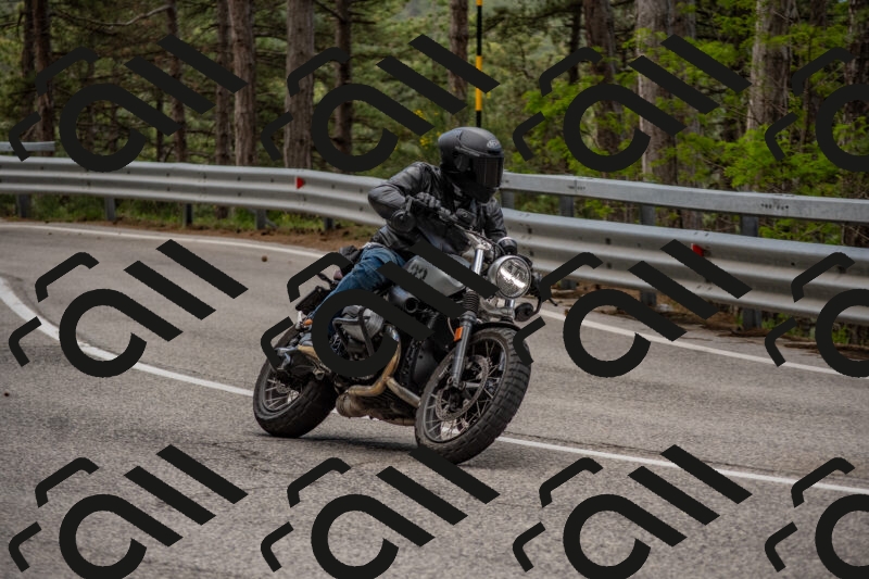 202506011417-DSC_6272_c4_