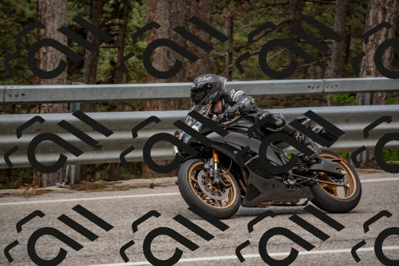 202506011417-DSC_6276_c4_