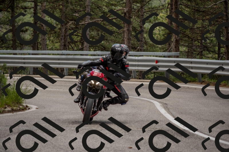 202506011418-DSC_6283_c4_