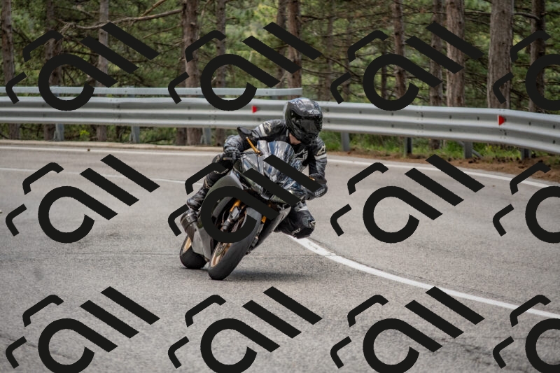 202506011419-DSC_6289_c4_