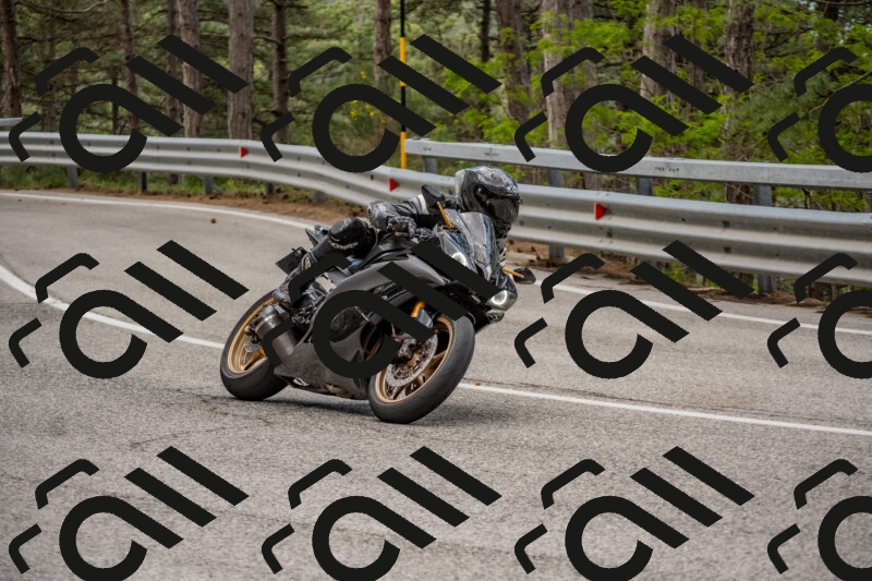 202506011419-DSC_6290_c4_