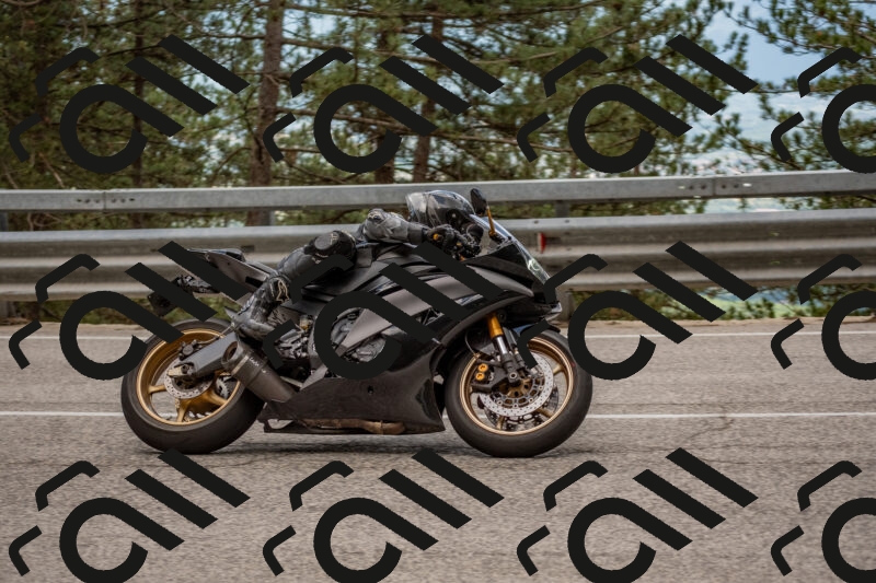 202506011419-DSC_6291_c4_