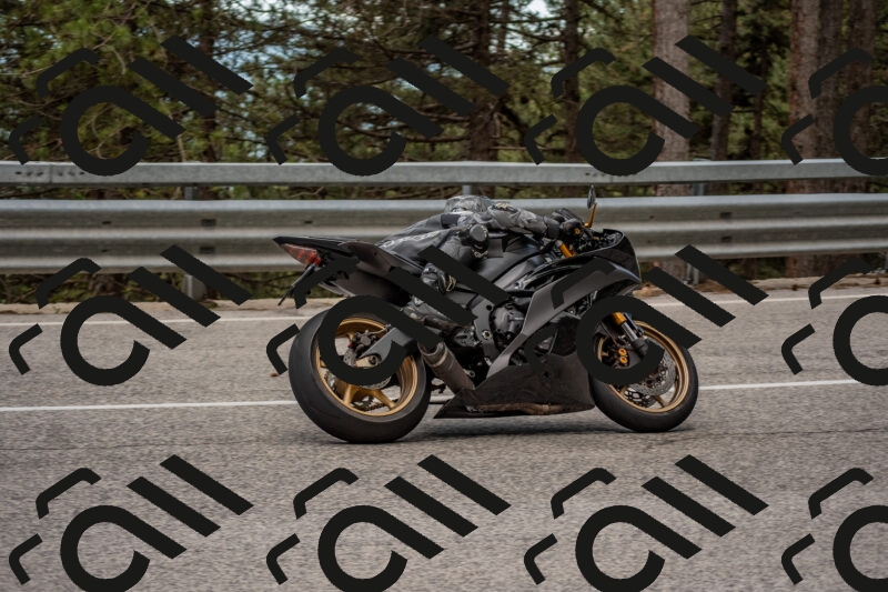 202506011419-DSC_6292_c4_