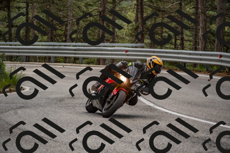 202506011420-DSC_6295_c4_