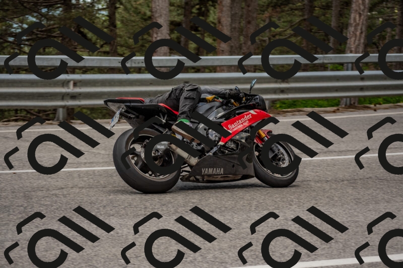 202506011420-DSC_6298_c4_