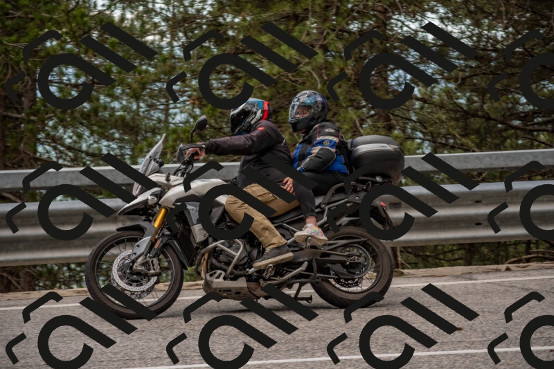 202506011421-DSC_6300_c4_