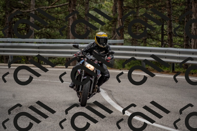 202506011421-DSC_6303_c4_