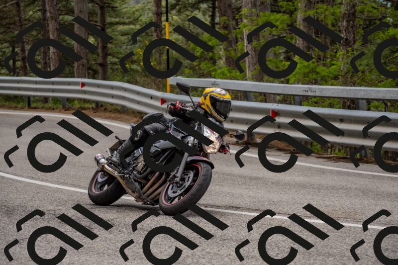 202506011421-DSC_6304_c4_