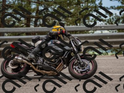 202506011421-DSC_6305_c4_