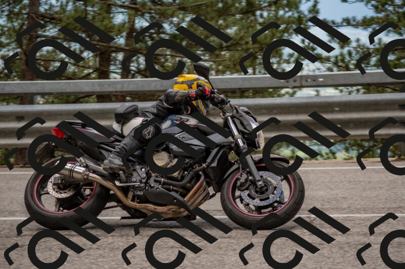 202506011421-DSC_6305_c4_