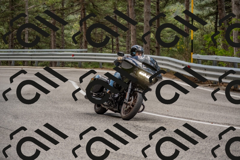 202506011422-DSC_6309_c4_