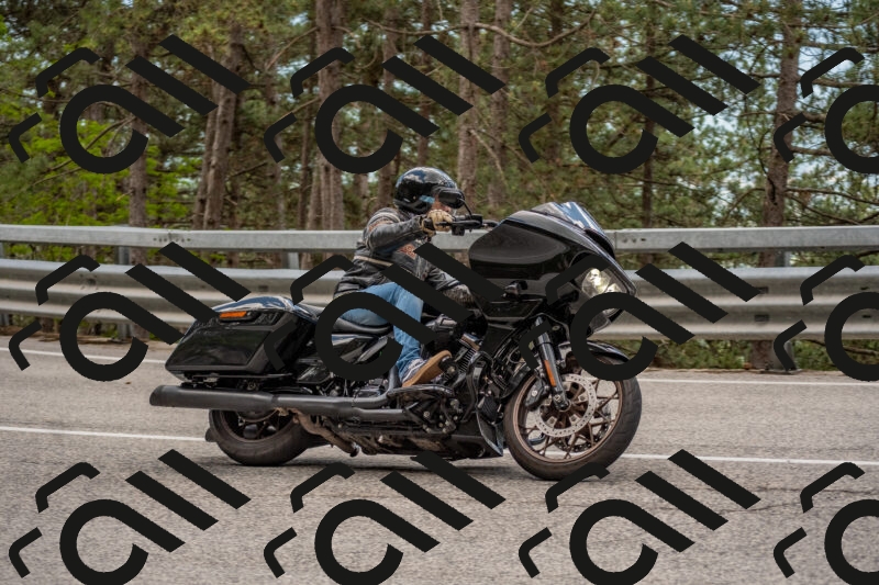 202506011422-DSC_6310_c4_