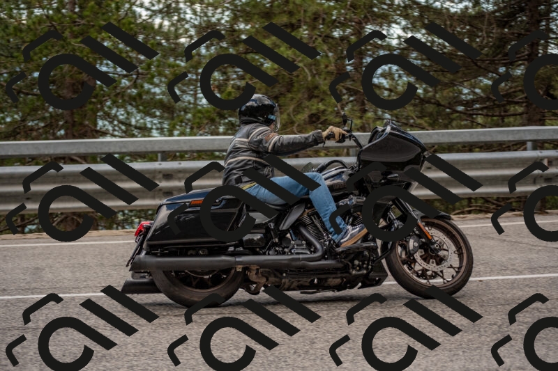 202506011422-DSC_6311_c4_