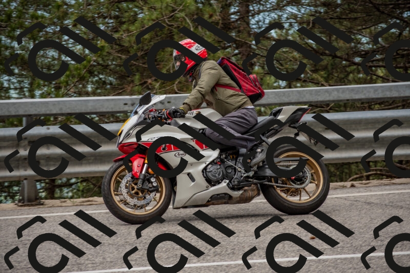 202506011422-DSC_6313_c4_