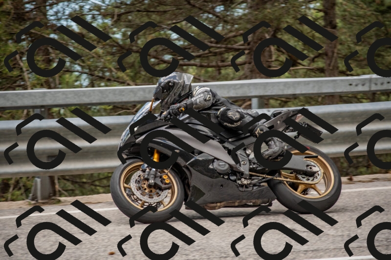 202506011422-DSC_6316_c4_