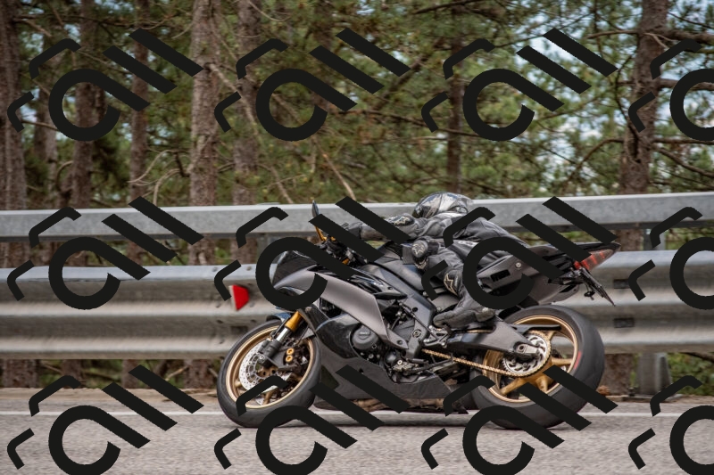 202506011422-DSC_6317_c4_