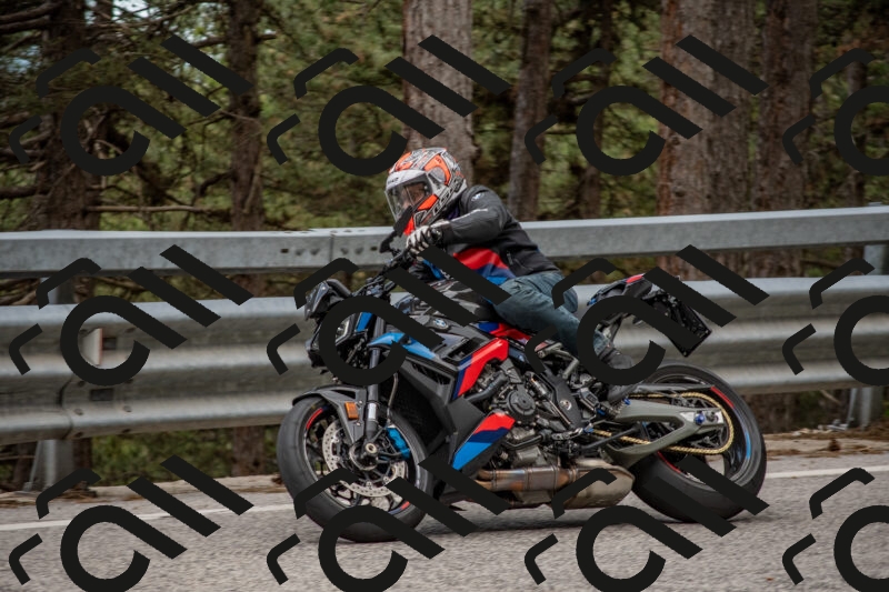 202506011426-DSC_6327_c4_