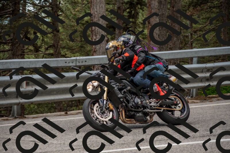 202506011428-DSC_6331_c4_