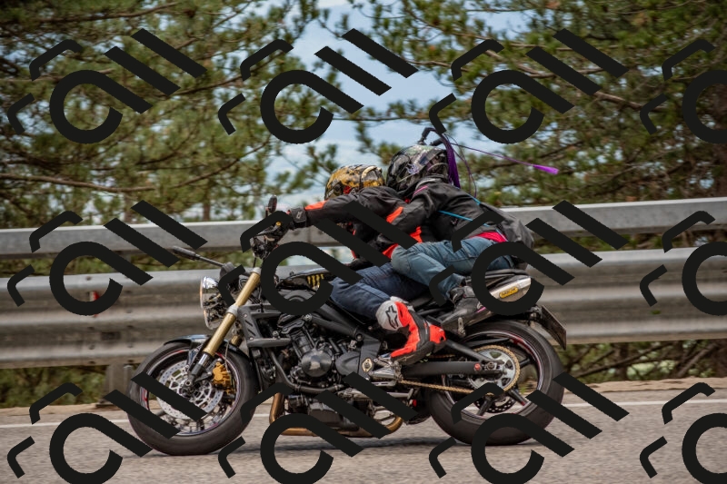 202506011428-DSC_6332_c4_