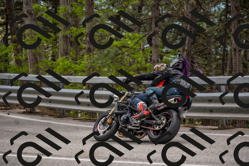 202506011428-DSC_6333_c4_